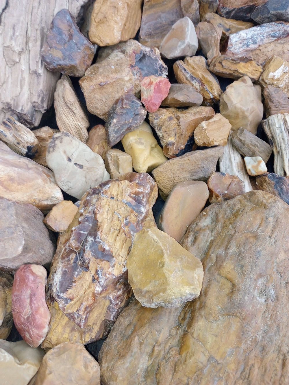 Raw Petrified Wood And Agate 1lb - Picture 3 of 10